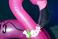 DSC04733