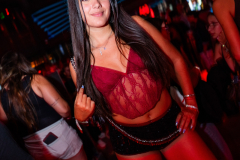 DSC01147